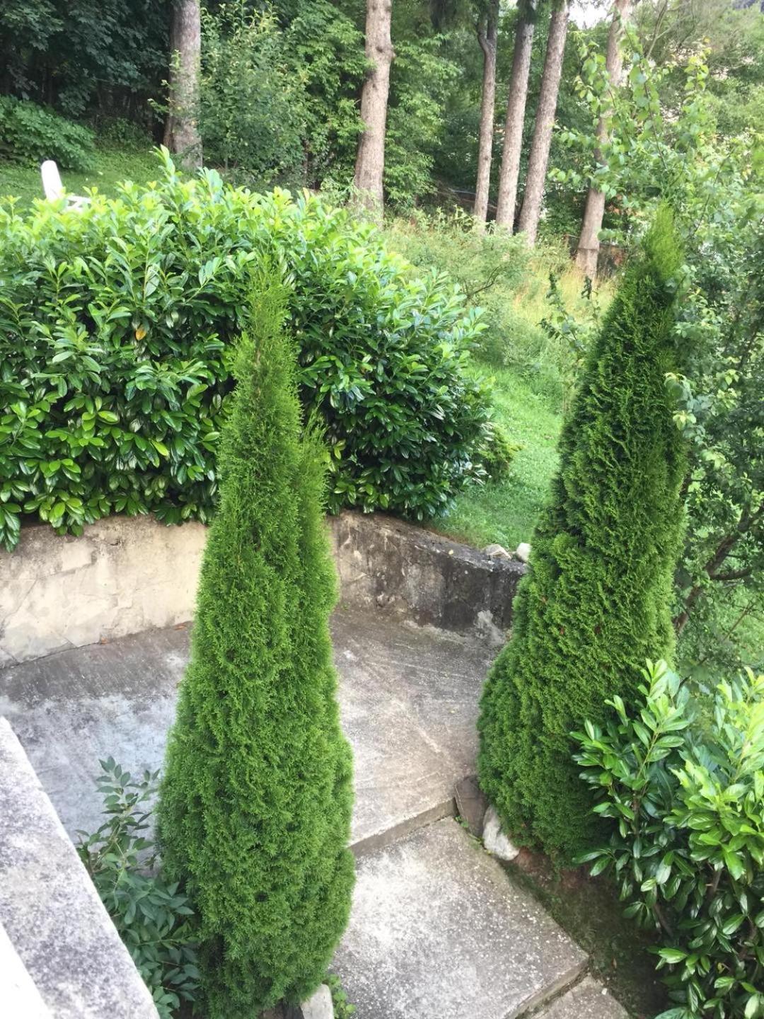 Il Piccolo Castello Buşteni Extérieur photo