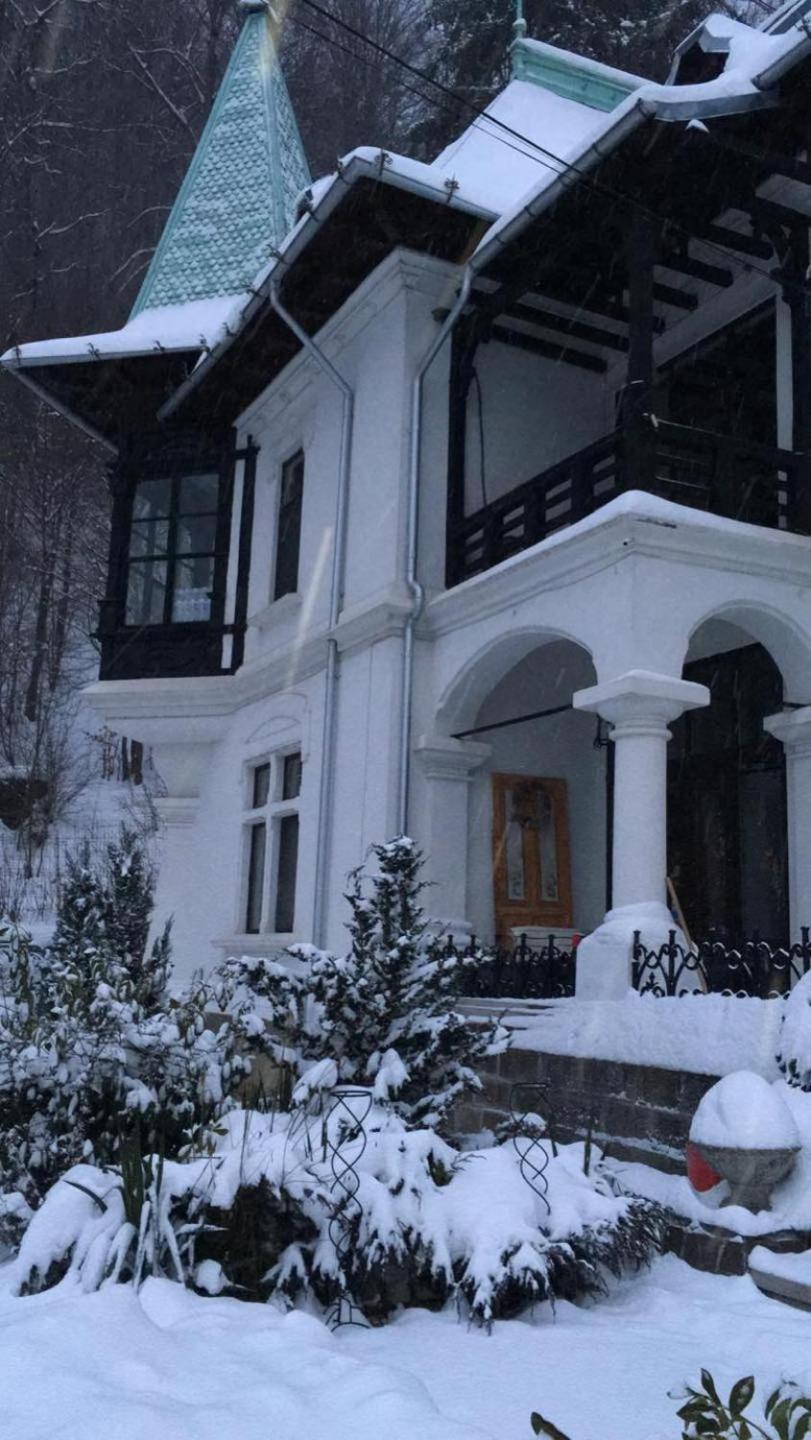 Il Piccolo Castello Buşteni Extérieur photo