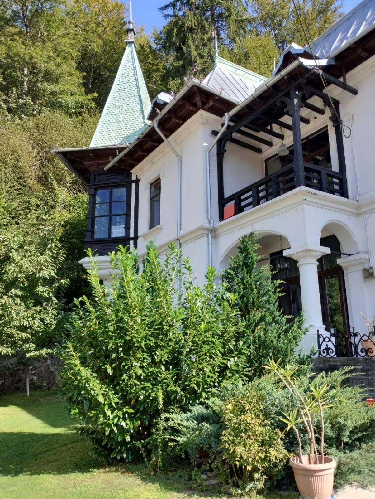 Il Piccolo Castello Buşteni Extérieur photo