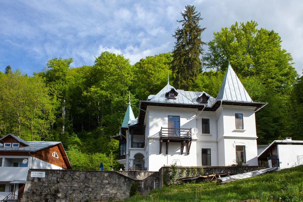 Il Piccolo Castello Buşteni Extérieur photo