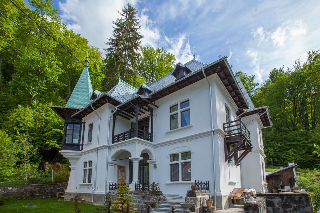 Il Piccolo Castello Buşteni Extérieur photo